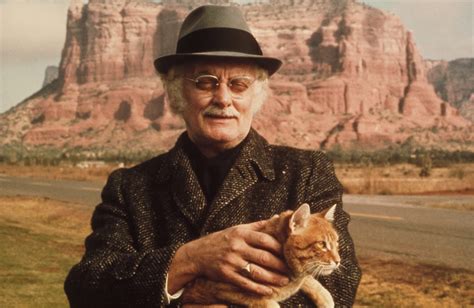 Harry and Tonto -  a poignant journey of self-discovery alongside a loyal feline companion!