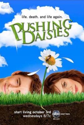  Pushing Daisies - Serial o miłości, śmierci i ciastkach z nadzwyczajnym wyglądem!